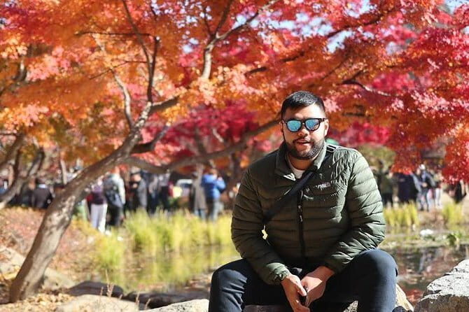K-pop boyband Film Location Private Day Trip - Lunch strategy: included Korean meal, plus options that reduce decision stress