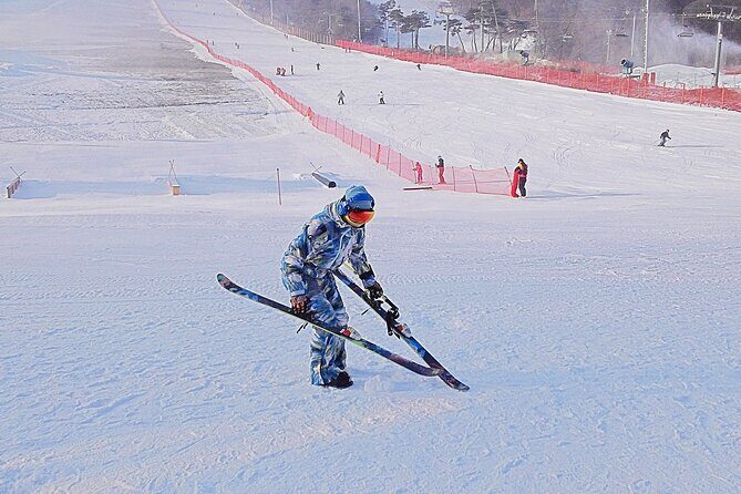 Korea Ski Tour from Seoul - Jisan Resort with Isaac Toast - Your 120-minute beginner lesson: how to get the most out of it