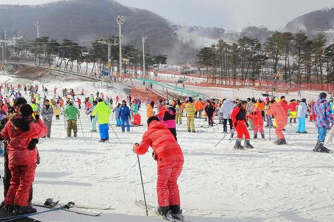 Korea Ski Tour from Seoul - Jisan Resort with Isaac Toast - Slope time, lifts, and keeping your day stress-free