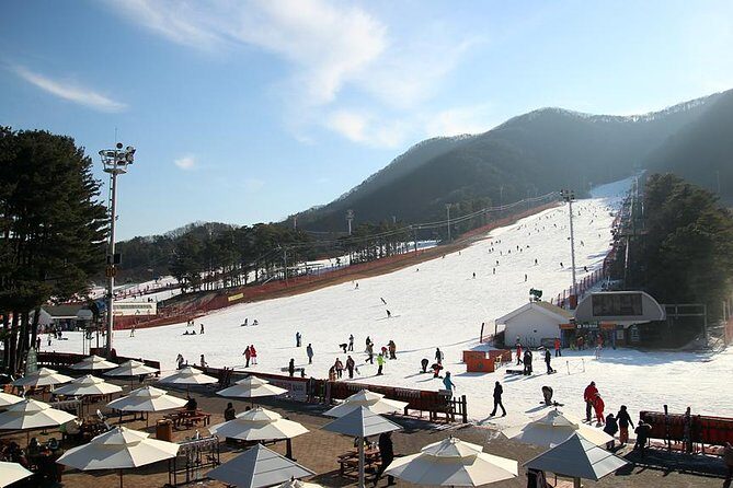Korea Ski Tour from Seoul - Jisan Resort with Isaac Toast - Price and value: What $19.95 really covers