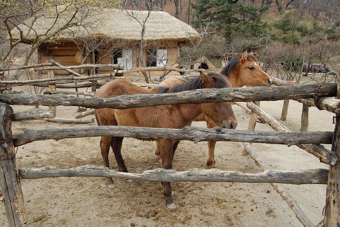 Korean Folk Village Afternoon Tour from Seoul - Traditional Houses: The Real-World Detail You Should Look For