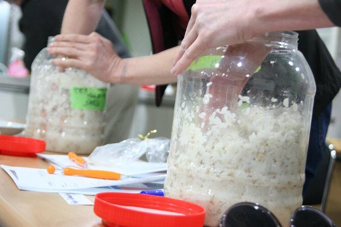 Makgeolli Brewing Class - Inside the makgeolli brewing steps: rice washing to filtering