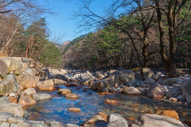 Mount Seorak and Nami Island One Day Tour from Seoul - The coach ride from central Seoul: how to make the long day feel easier