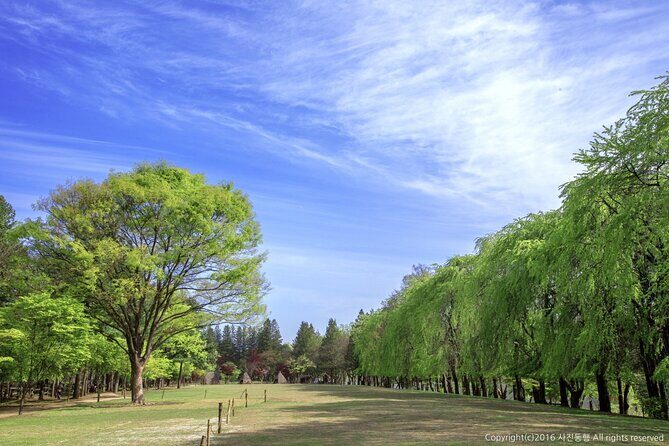 Mount Seorak and Nami Island One Day Tour from Seoul - What you pay ($80.95) and where the extra costs show up