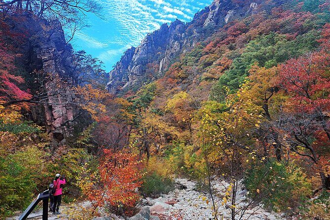 Mt. Seorak+Nami Island+Garden of Morning Calm Day Trip from Seoul - A long day trip that trades stress for scenery