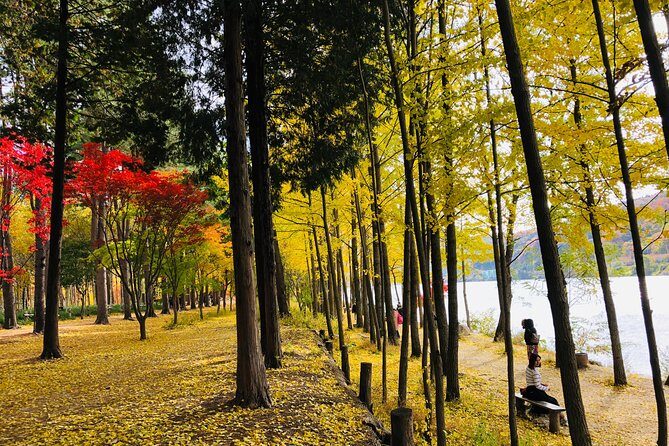 Mt. Seorak+Nami Island+Garden of Morning Calm Day Trip from Seoul - Hiking at Seoraksan: cable car trade-offs and the fall switch