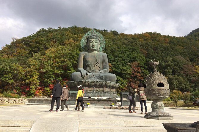 Mt. Seorak+Nami Island+Garden of Morning Calm Day Trip from Seoul - Garden of Morning Calm: calm in about 70 minutes