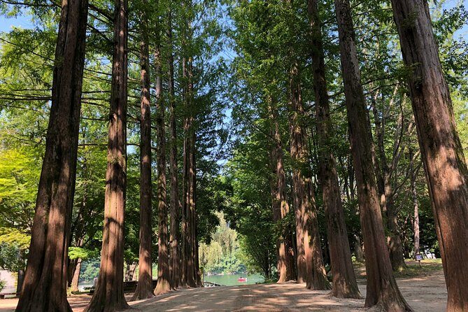 Mt. Seorak+Nami Island+Garden of Morning Calm Day Trip from Seoul - Getting your day right: pickup points, travel time, and group flow