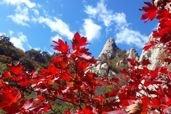 Mt. Seorak+Nami Island+Garden of Morning Calm Day Trip from Seoul - Getting from Seoul to Seoraksan: comfort, temple, and timing