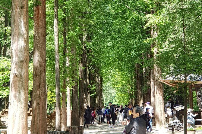 Nami Island and Petite France - Filming location - Key highlights worth clocking
