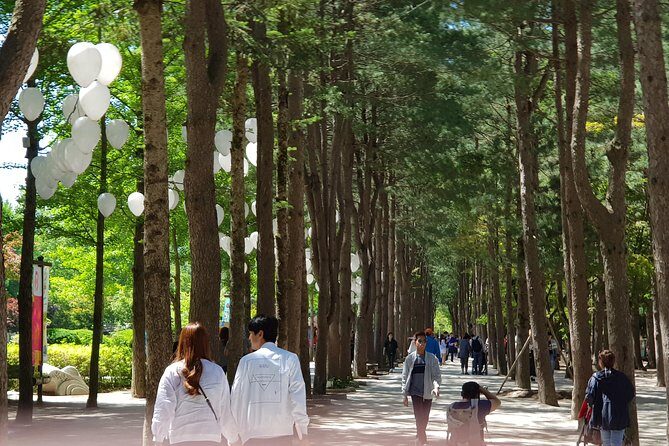 Nami Island and Petite France - Filming location - Nami Island: the Gapyeong ferry and 1 hour that actually counts