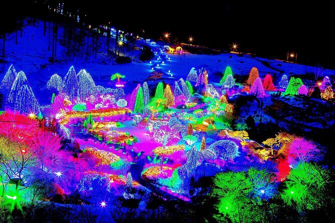 Nami Island, Cable Car, Garden of Morning Calm Panoramic Tour - Price and Value: What $109 Buys on This Route