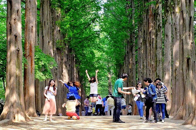 Nami Island, Cable Car, Garden of Morning Calm Panoramic Tour - Garden of Morning Calm: The Best Use of Your Walking Shoes