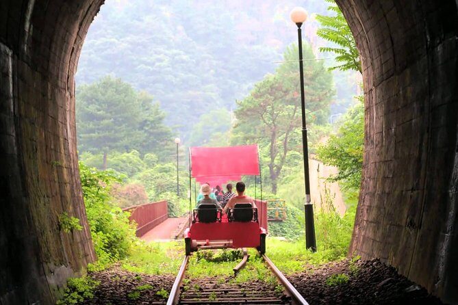 Nami Island & Garden of Morning Calm & Gangchon Railbike Tour - A 10-hour winter escape that’s built for “easy planning”