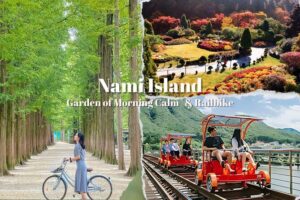 Nami Island & Garden of Morning Calm & Gangchon Railbike Tour - Garden of Morning Calm after hours: the 10,000-bulb winter effect