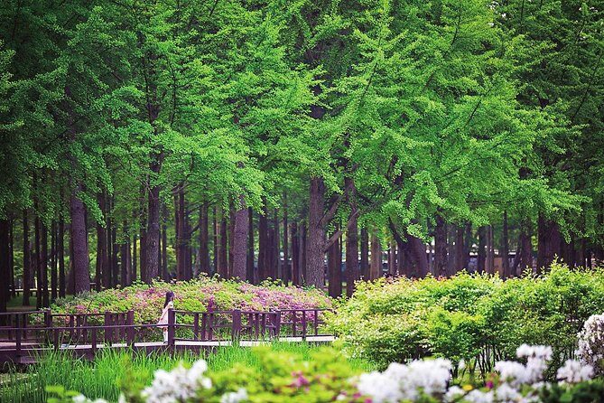 Nami Island& Petite France& Garden of Morning Calm& Italian Village One-Day Tour - Guides make or break the pacing (and you can feel the difference)