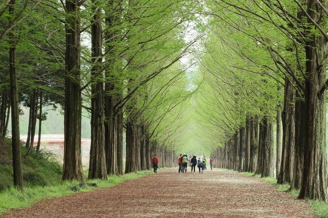 Nami Island& Petite France& Garden of Morning Calm& Italian Village One-Day Tour - Price and value: is $76 fair for four stops?