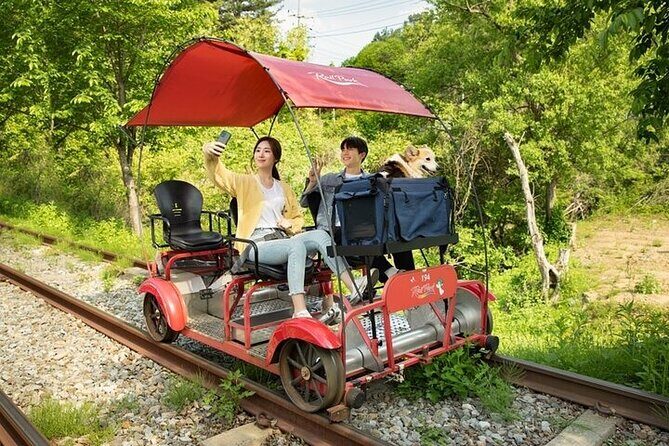 Nami Island & Petite France & Italian Village & Gangchon Rail Bike One-Day Tour - Guide quality and language: why this matters more than you think