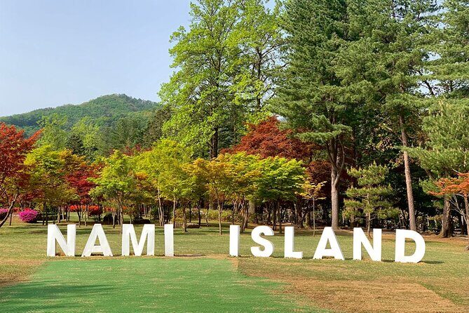 Nami Island & Petite France & Italian Village & Gangchon Rail Bike One-Day Tour - Group size, pacing, and transport reality in Seoul traffic