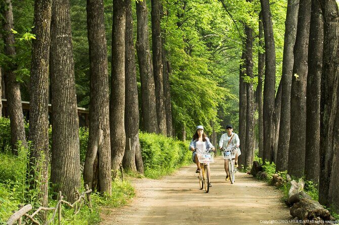 Nami Island Trip with Petite France & Italian Village and Gangchon Rail Bike - The seasonal twist: Eobi Ice Valley from 12/20 to 3/11
