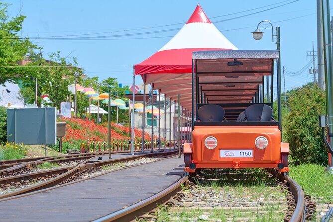 Nami Island Trip with Petite France & Italian Village and Gangchon Rail Bike - What the guides do well (and why it affects your day)