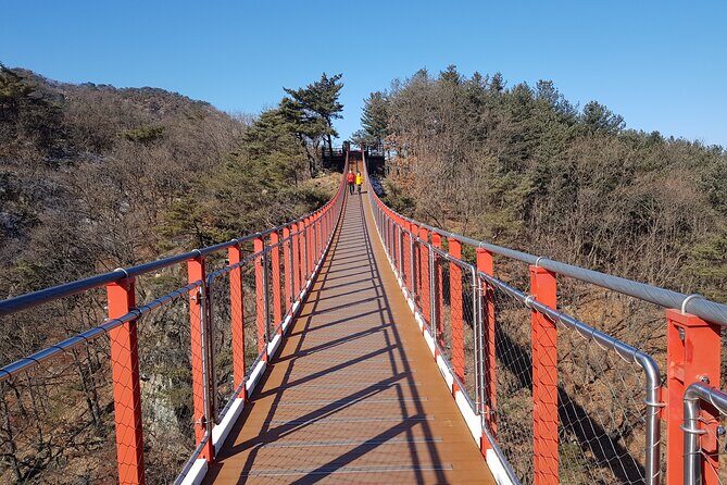 Premium Private DMZ Tour & (Suspension Bridge or N-Tower) include lunch - Why this private DMZ day feels different from the usual setup