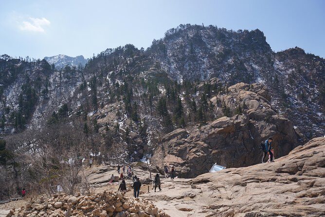 [Premium Private Tour] Mt Seorak & East Sea or Nami island from Seoul - The Nami Island Option: Plan for Ferry Time and Film-Fan Magic