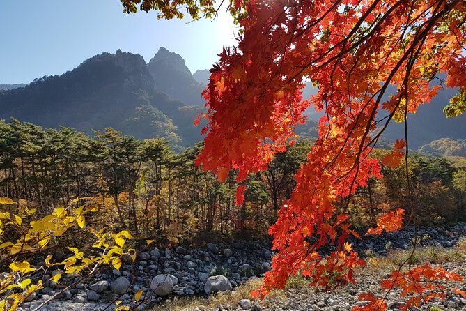 [Premium Private Tour] Mt Seorak & East Sea or Nami island from Seoul - Lunch and Timing: How the Day Stays Comfortable