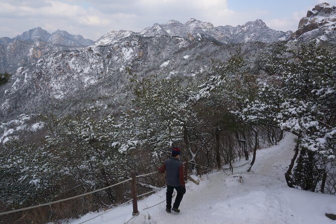 Private Bukhansan Hiking Tour (More Members Less Cost per Person) - Stop 1: Bukhansan National Park and the Seoul View Promise