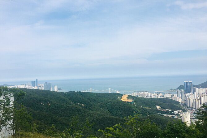 Private Busan tour with gamcheon culture village and the temple (Customizable) - Lunch planning, photo help, and customization that actually works