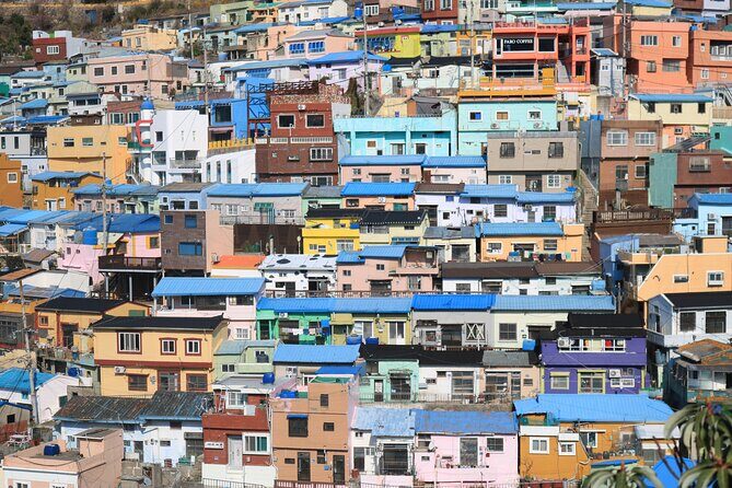 Private Busan tour with gamcheon culture village and the temple (Customizable) - Jagalchi Market and Gukje Market: seafood energy plus the backstory