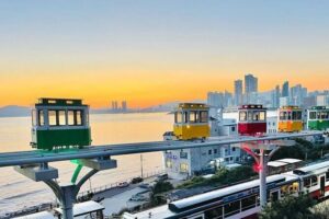 Private Busan Tour with hidden gem of Busan by Local Guide - Market time without getting lost: Haeundae Market and Jagalchi Market