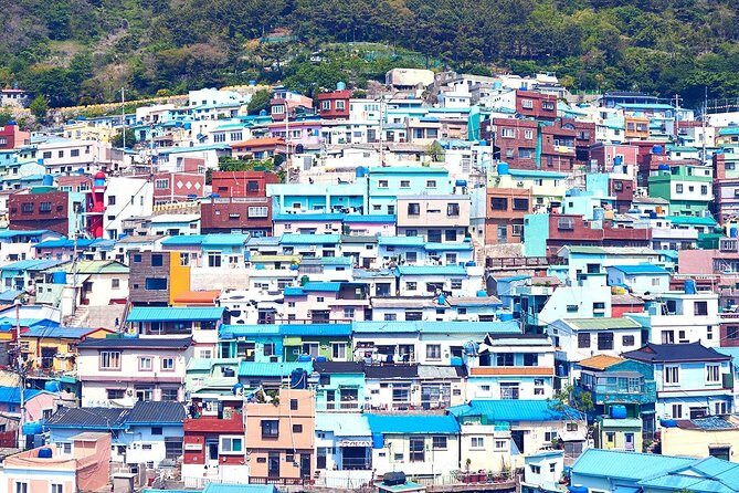 Private Busan Tour with hidden gem of Busan by Local Guide - Culture on hills: Gamcheon Culture Village