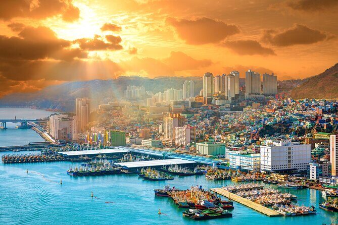 Private Custom Tour With a Local Guide in Busan - Haedong Yonggung Temple and the Seaside Side of Busan