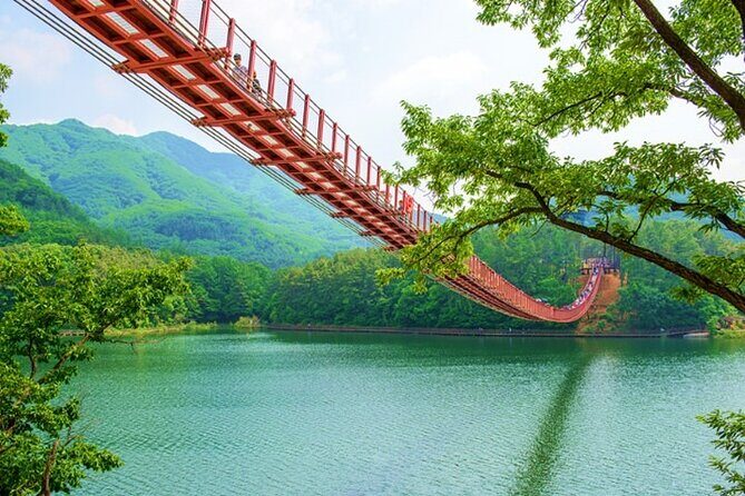 Private DMZ Tour (No Shopping): 3rd Tunnel & Suspension Bridge - Price and what you’re really paying for at $198