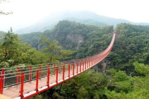 Private DMZ Tour (No Shopping): 3rd Tunnel & Suspension Bridge - Imjingak Park area: Freedom Bridge, Steam Locomotive, and the Mangbaedan altar story
