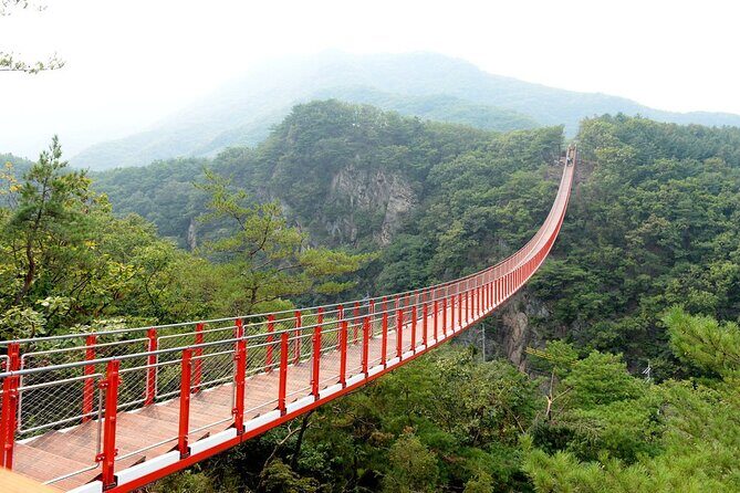Private DMZ Tour (No Shopping): 3rd Tunnel & Suspension Bridge - Imjingak Park area: Freedom Bridge, Steam Locomotive, and the Mangbaedan altar story