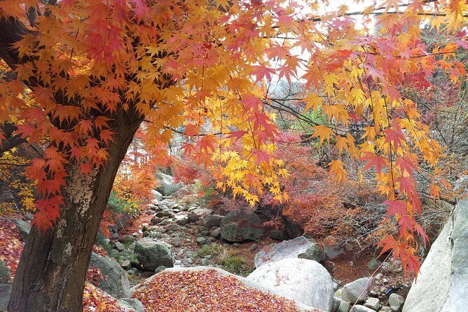 Private Hiking to Bukhansan & Korean Style Spa(Include Lunch) - Price and value: does $182 buy a smart day or just a package?