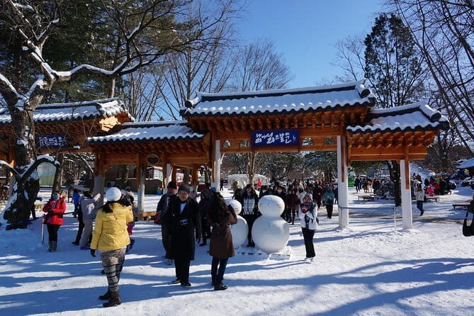 Private Tour: DMZ Aegibong & Korean Culinary Workshop Experience - Timing and transport: how the day actually runs