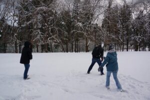Private Tour Nami Island with Petite France 'and/or' The Garden of Morning Calm - Garden of Morning Calm: the calm you came for