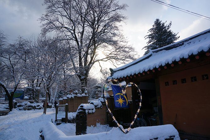 Private Tour Nami Island with Petite France 'and/or' The Garden of Morning Calm - Price and value: what $192 buys you here