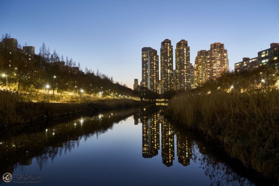 Seoul: 4-Hour Gangnam Walking Tour With Customized Itinerary - Key things that make this Gangnam tour worth your time