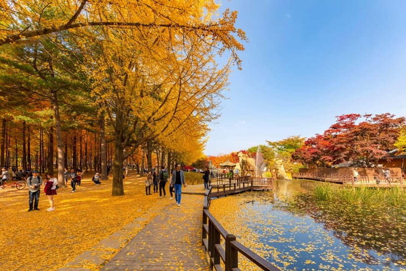 Seoul: Alpaca World & Nami Island (+Gangchon Railbike) - Nami Island on foot: drama-set trees, art spots, and lunch timing