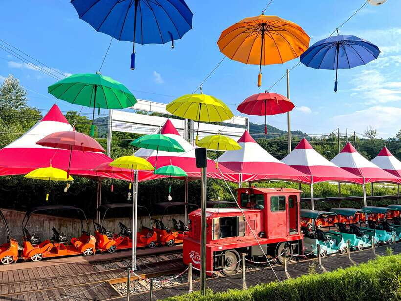 Seoul: Alpaca World & Nami Island (+Gangchon Railbike) - Price and value: when $57 feels like a smart deal