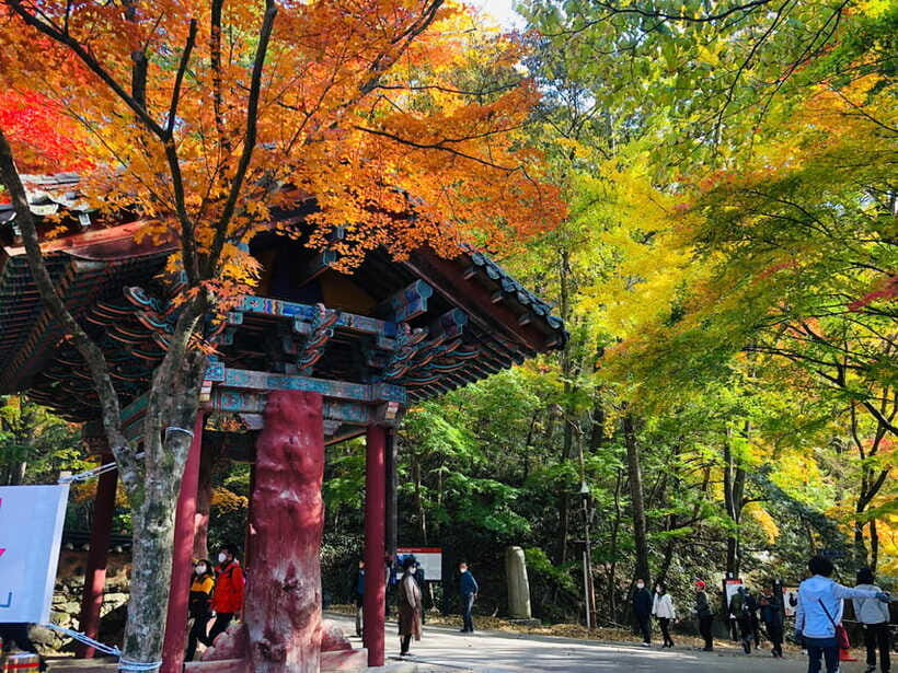 Seoul: Autumn Foliage - Mt. Naejang + Jeonju Hanok Village - Jeonju Hanok Village: Korea’s Largest Hanok Area by Foot