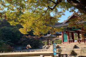 Seoul City Full Day Tour - Changdeok Palace (wearing Hanbok) - Bukchon Hanok Village: Traditional Houses Inside the Modern City