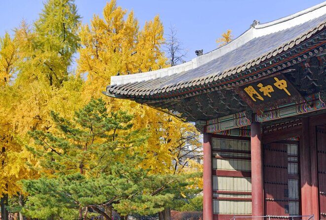 Seoul: Deoksugung Palace Night Tour - Entering through Daehanmun Gate: the “start of the story”