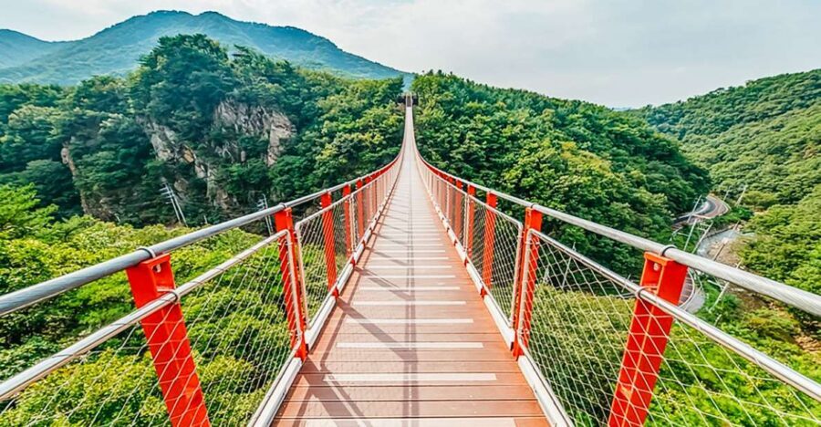 Seoul: DMZ, 3rd Tunnel and Optional Suspension Bridge Tour - Why the DMZ hits harder than a normal day trip
