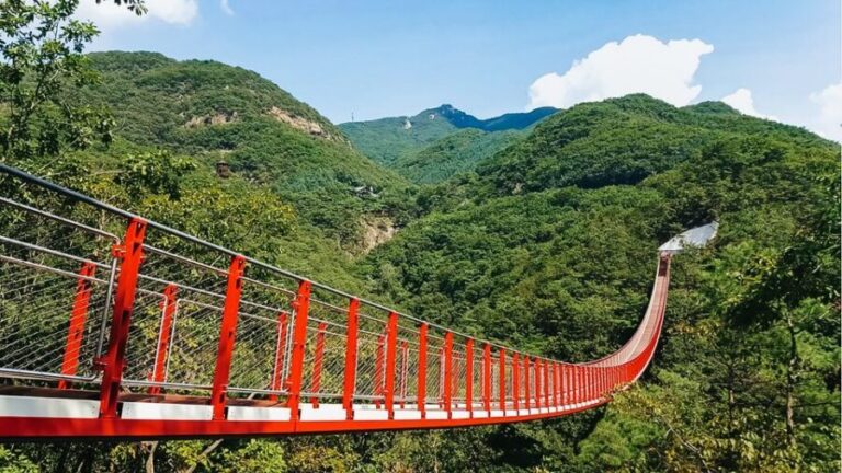 Seoul: DMZ, 3rd Tunnel and Optional Suspension Bridge Tour - Your day on the ground: the route that keeps it organized