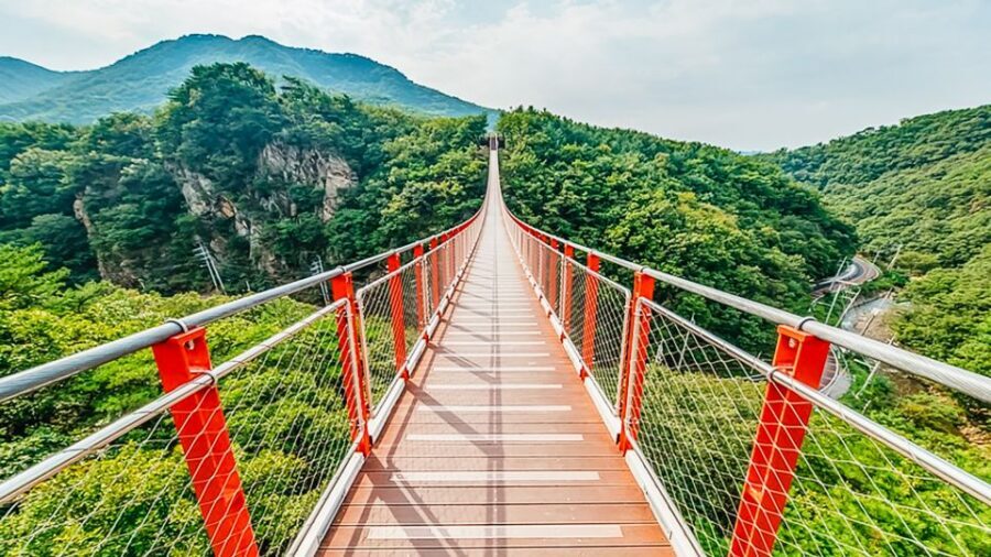 Seoul: DMZ, 3rd Tunnel and Optional Suspension Bridge Tour - Logistics that can make or break your comfort